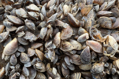 WhatsApp-Image-2026-02-14-at-14.03.42-2