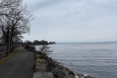 WhatsApp-Image-2026-02-14-at-14.03.42