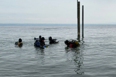 WhatsApp-Image-2026-02-14-at-14.03.43-2